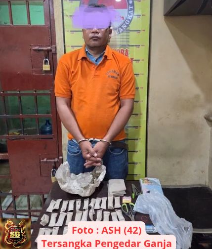 Tak Berkutik, Pengedar Ganja Di Langkat Dibekuk Polisi Dirumahnya.