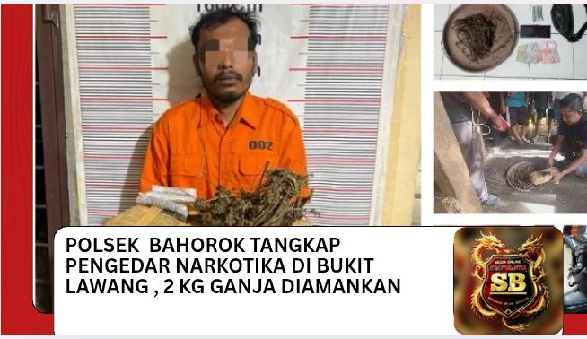 Polsek Bahorok Tangkap Pengedar Narkotika Di Bukit Lawang, 2 Kg Ganja Diamankan