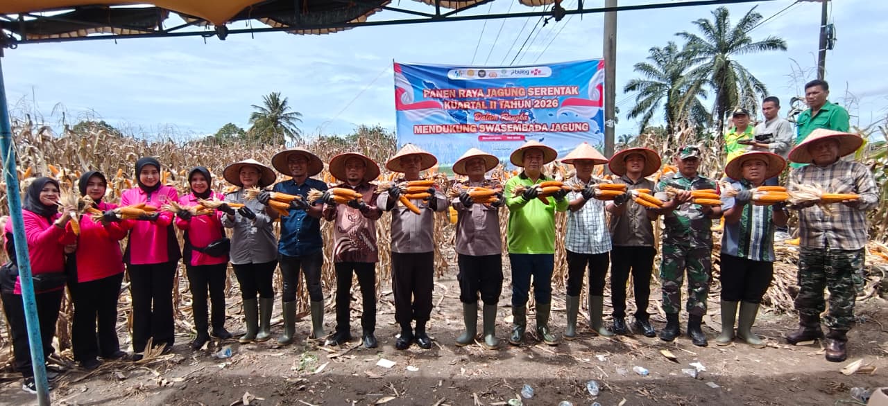 Dipimpin Langsung Presiden Prabowo secara Virtual, Polres Simalungun Sukseskan Panen Raya Jagung Serentak Kuartal II 2026 di Nagori Muara Mulia.