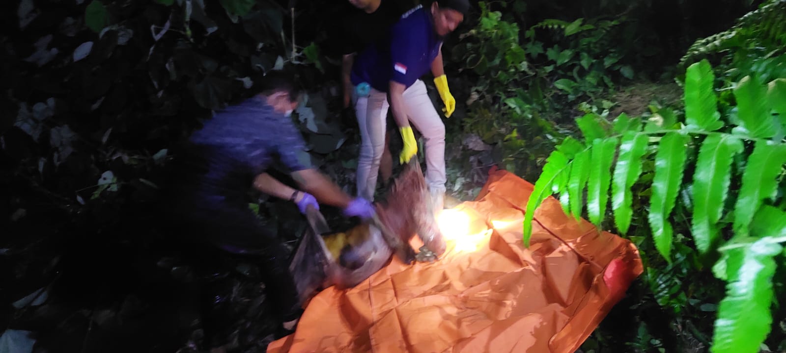 Tim INAFIS Polres Simalungun Gerak Cepat Olah TKP Penemuan Mayat Perempuan Tak Dikenal di Pinggiran Sungai Bah Bolon.