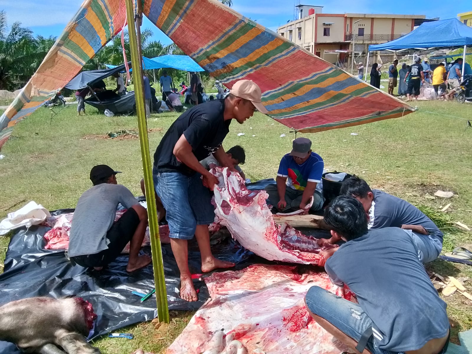 Hari Raya Idul Adha 1447 H, Desa Widodaren Potong 20 Ekor Hewan Qurban.
