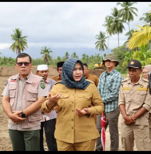 Rehabilitasi Lahan Pertanian Tangga Bosi Tuntas, Pemkab Madina Kejar Pemulihan Produksi Padi.