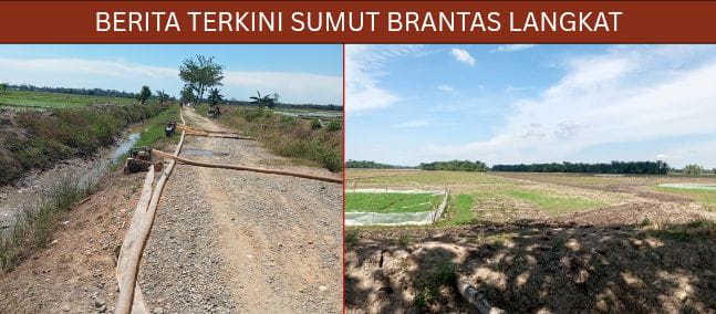Musim Kemarau, Petani Padi Di Langkat Rebutan Air Demi Mengairi Sawah.