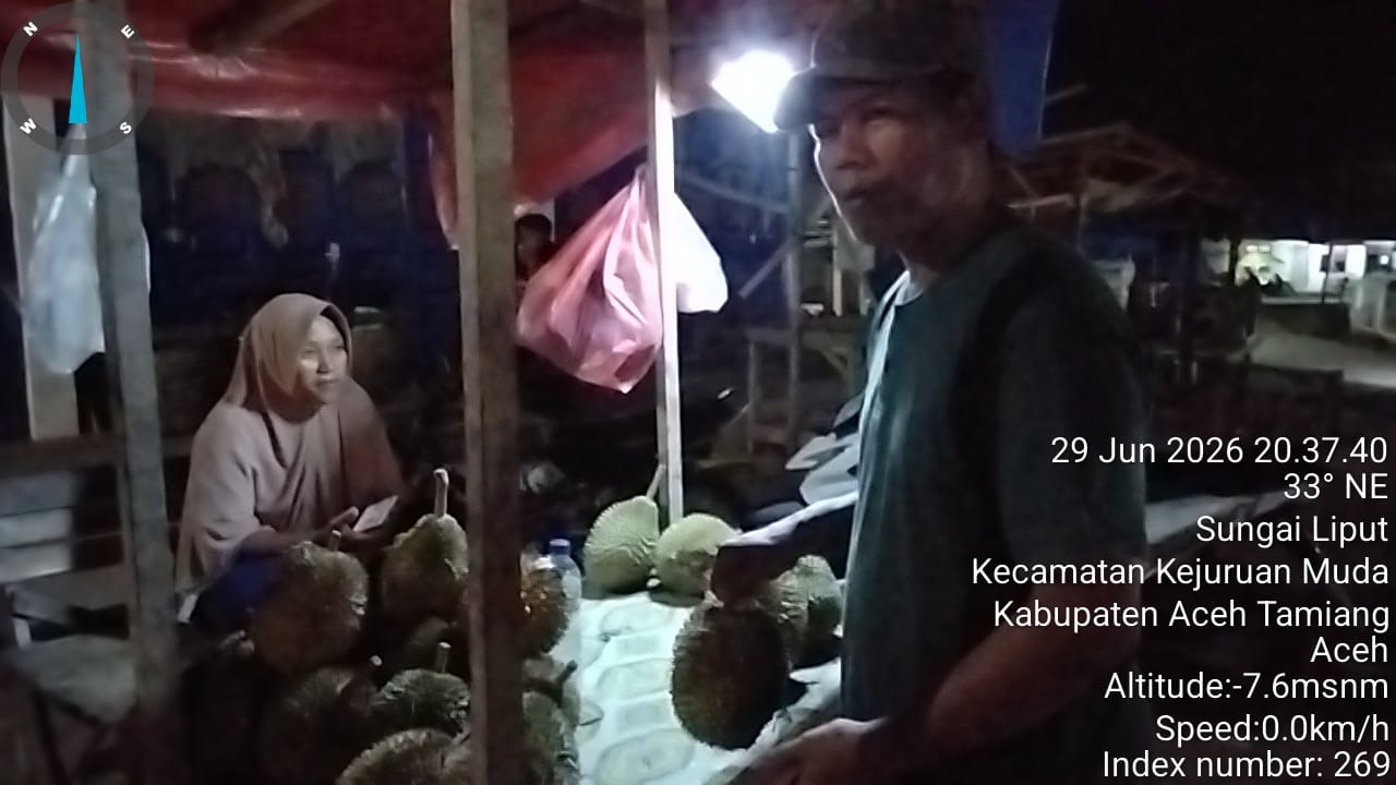 Harga Tinggi Tak Surutkan Minat Warga Berburu Durian Kaloy di Aceh Tamiang.
