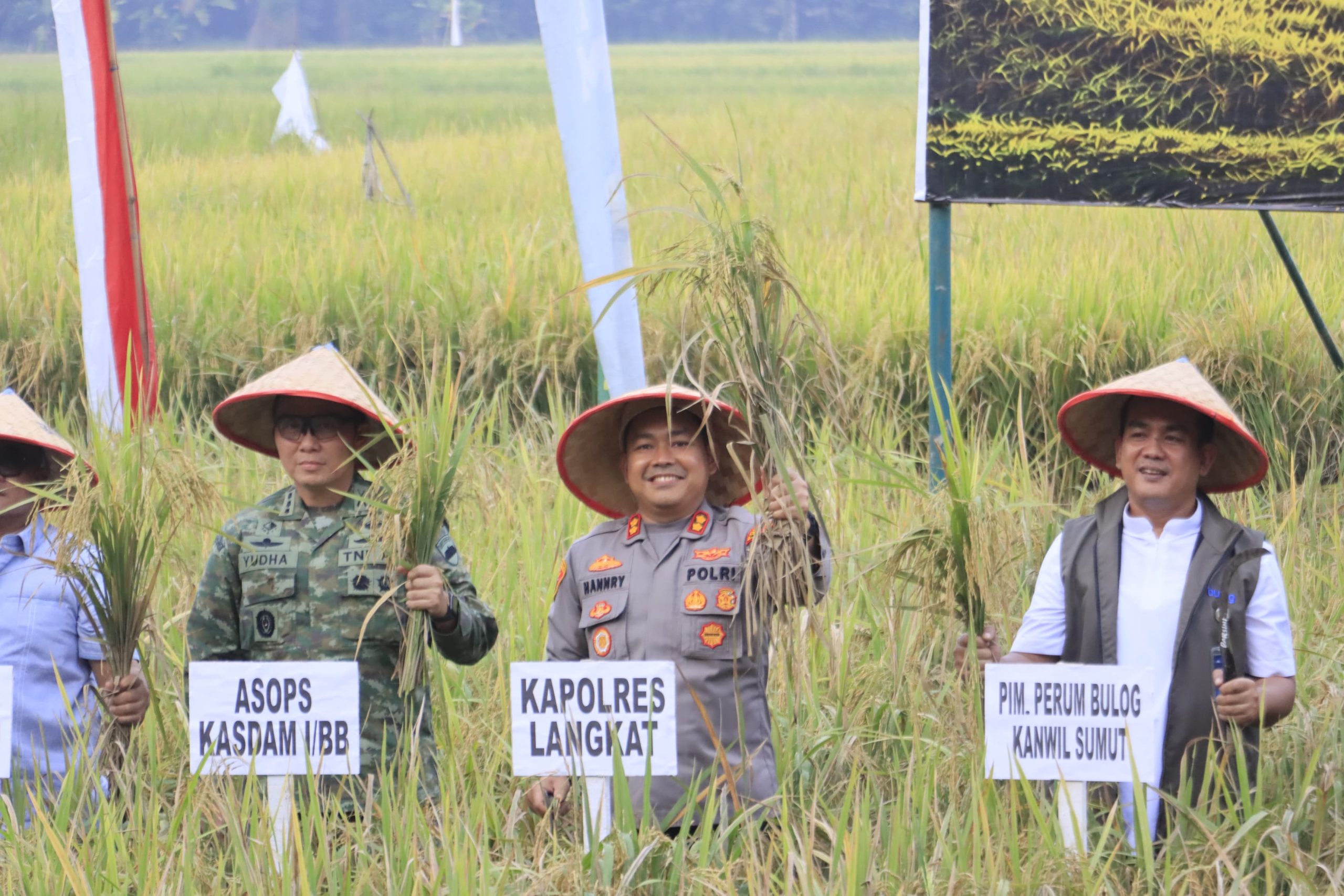 Dukung Ketahanan Pangan Nasional, Kapolres Langkat Bersama Jajaran TNI dan Forkopimda Hadiri Panen Raya Virtual di Sirapit.