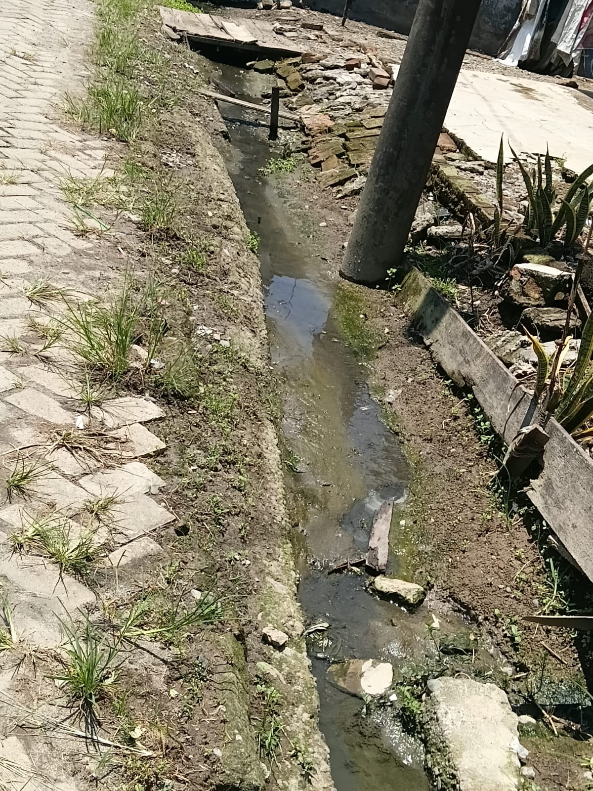 Puluhan Tahun Berdiri, Warga Tandam Hulu II Masih Keluhkan Minimnya Drainase.