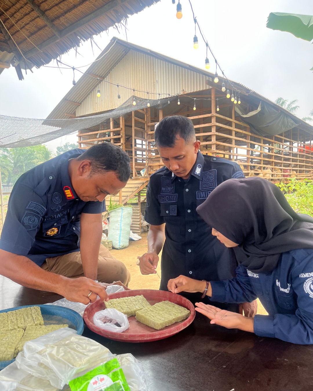 Persiapan Penanaman Tahap Berikutnya Rutan Tanjung Pura laksanakan Penyemaian Benih Sawi Hidroponik di Lahan Ketahanan Pangan.