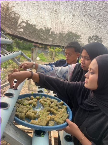 Upaya Berkelanjutan Mendukung Program Ketahanan Pangan Rutan Tanjung Pura Laksanakan Pemindahan Bibit Sawi ke Media Hidroponik.