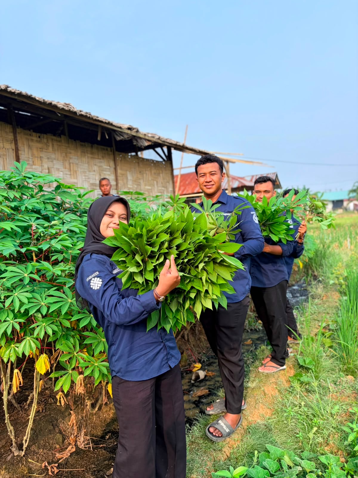 Wujudkan Kemandirian Pangan Rutan Kelas IIB Tanjung Pura Panen 30 Kilogram Daun Singkong dari Lahan Ketahanan Pangan.