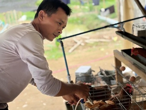 Perkuat Program Ketahanan Pangan Rutan Kelas IIB Tanjung Pura Laksanakan Penambahan 70 Ekor Ayam Petelur Tahap II.